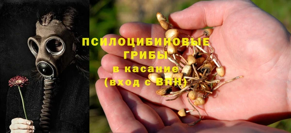 альфа пвп Беломорск